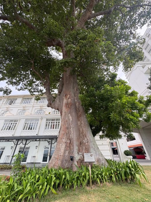 走过百年| 保留英殖民时期建筑风格   140年优雅东家酒店