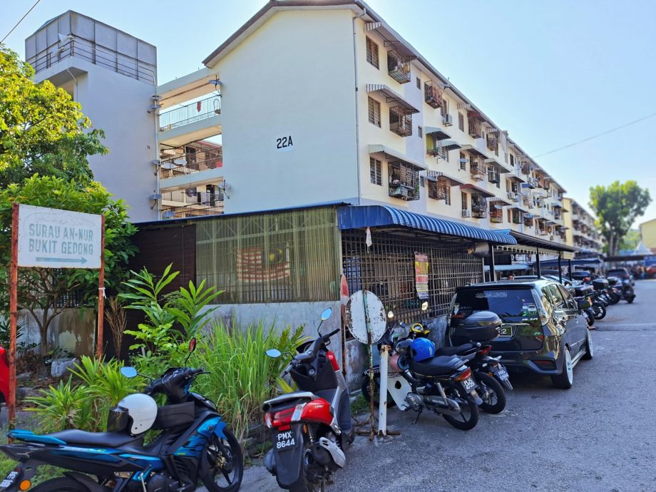 (大北马)释放带沃尔巴克氏菌黑斑蚊,降低组屋骨痛热症病例