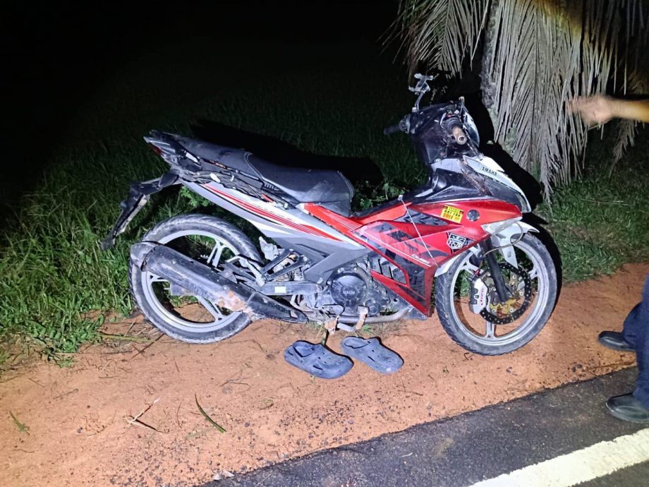 （已签发）柔：夜间骑驶撞倒下大树   26岁骑士送医途中身亡