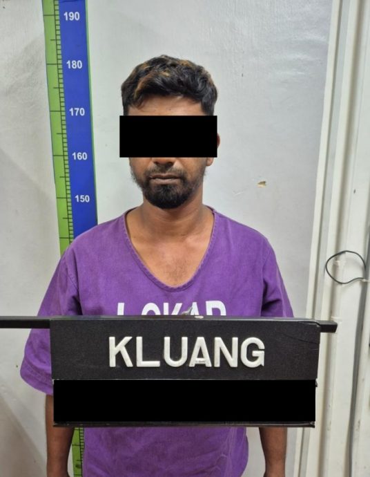 失业男半夜闯园地 偷6串香蕉被捕