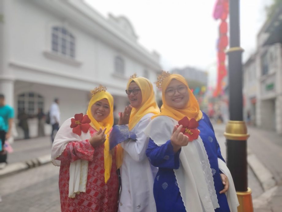 (已签发)柔:封底特稿:国庆前夕各族齐聚文化街   为大马68岁生日献祝福