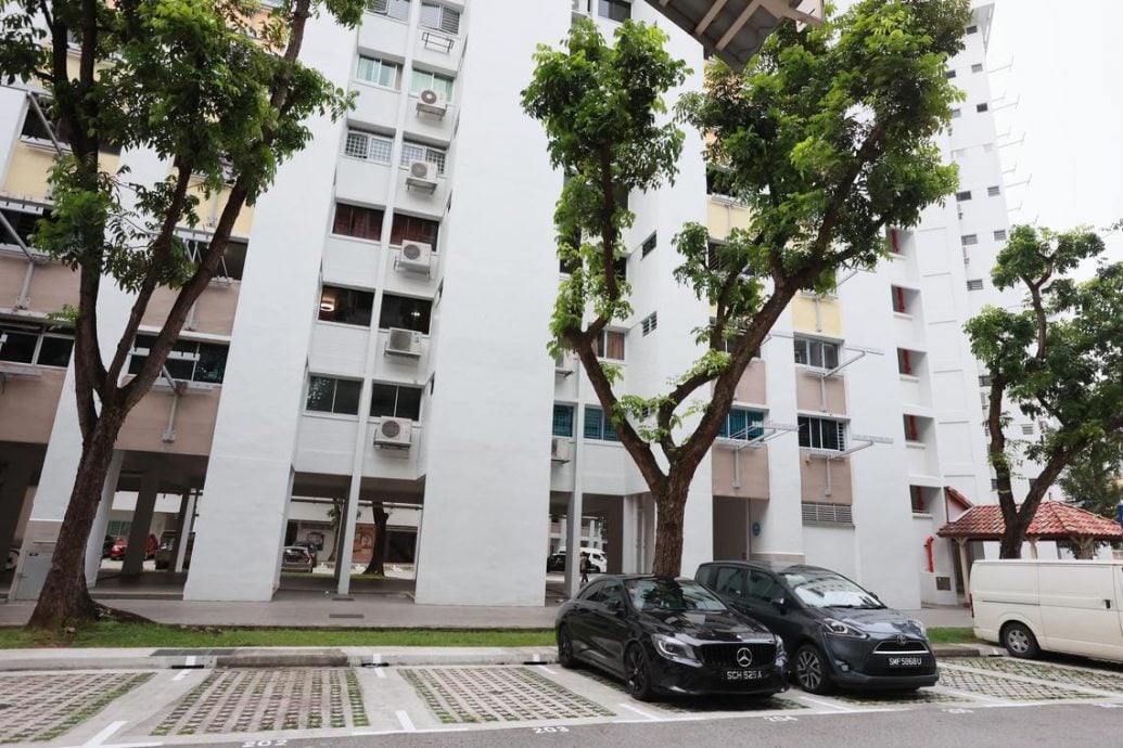 （已签发）柔：狮城二三事：居民诉硕鼠肆虐 闯电梯爬过脚板