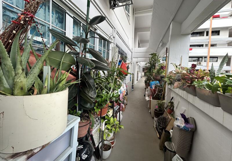 （已签发）柔：狮城二三事：报纸贴窗走廊囤物  丧礼花朵带回家