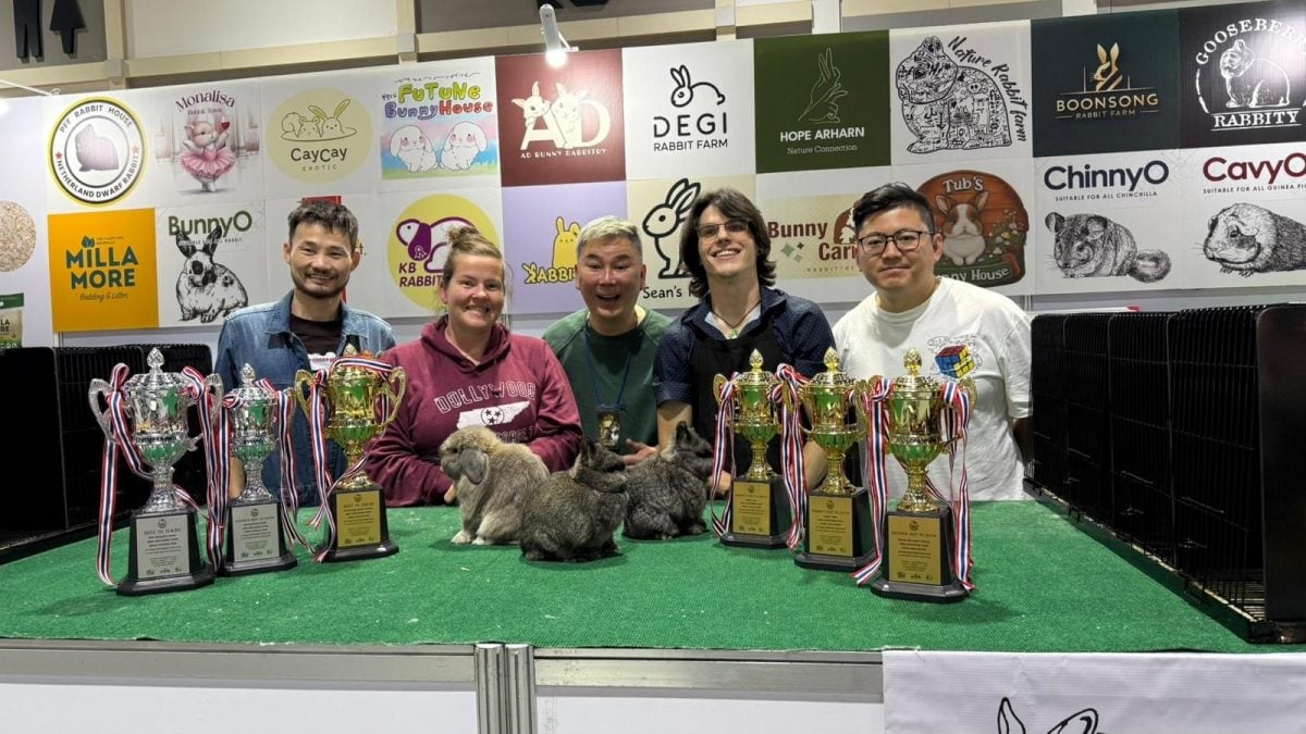 (已签发)柔:狮城二三事:放弃狮城永居身份取出公积金 李荣达退休与兔相伴