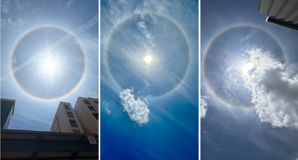 （已签发）柔：狮城二三事：狮城中午现罕见日晕 公众拍照分享奇景