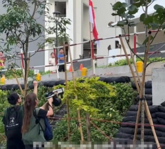 （已签发）柔：狮城二三事：猴群闯组屋区扰民 水珠枪镭射笔驱赶返树林