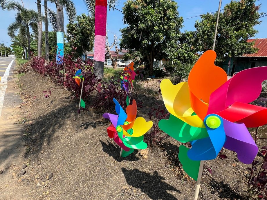 （版3头）大都会/适耕庄C村缤纷变身，华丽迎人