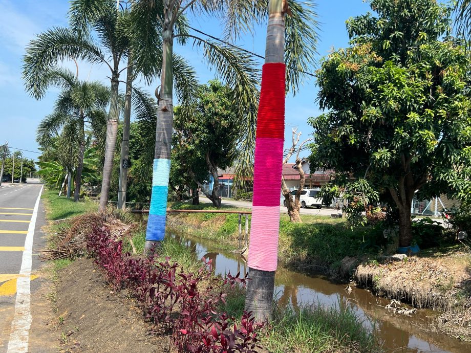 （版3头）大都会/适耕庄C村缤纷变身，华丽迎人