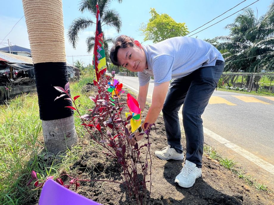 （版3头）大都会/适耕庄C村缤纷变身，华丽迎人