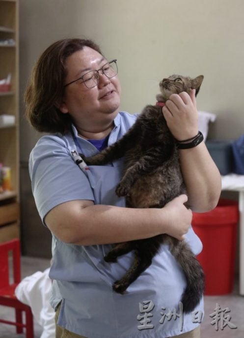 猫狗性格大不同,了解猫狗行为才能和睦相处