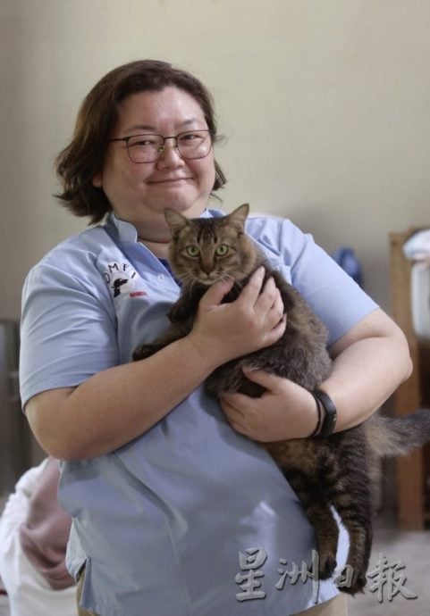 猫狗性格大不同,了解猫狗行为才能和睦相处