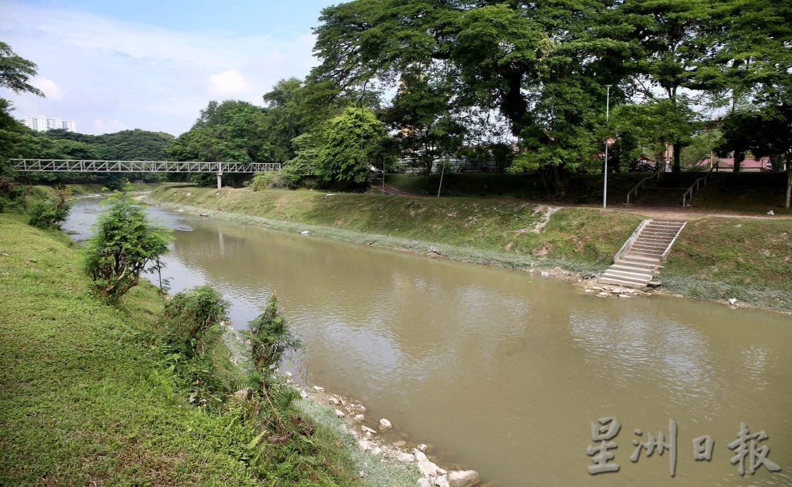 两度现死鱼充斥外来鱼 郑国霖:近打河非染缸