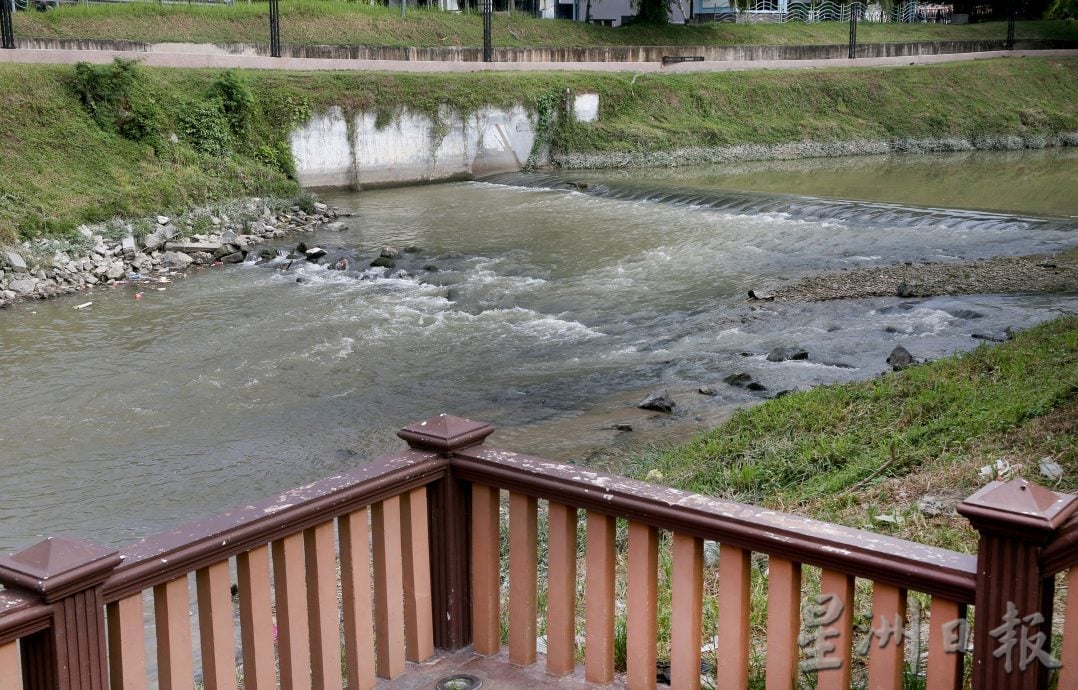 两度现死鱼充斥外来鱼 郑国霖:近打河非染缸