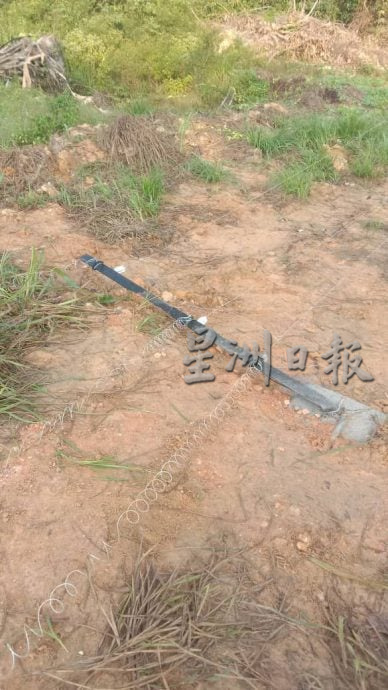 **已签发**柔:第二版头:逾10野象闯入甘榜开趴 引起村民恐慌