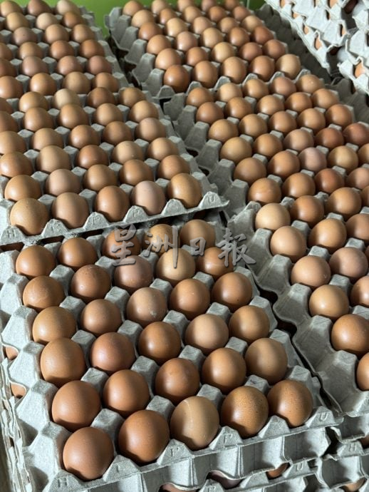 A/B/C蛋补贴取消·市售价格及销量皆无波动