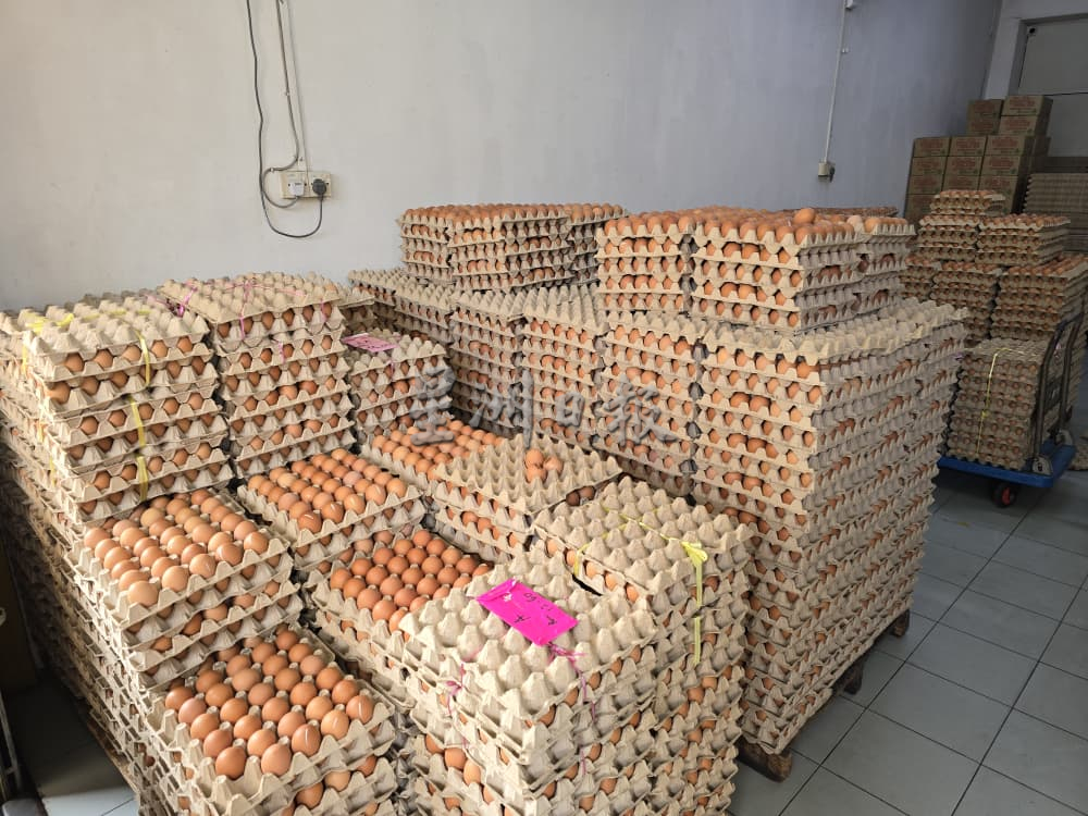 供星洲网/鸡蛋补贴取消暂未酿涨价风，业者及食肆：静观其变