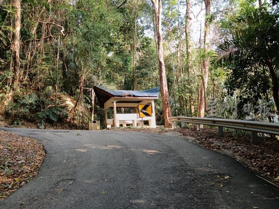 供星洲网：半岛心旅行／淡边山景致宜人　吸引各族登山爱好者共聚