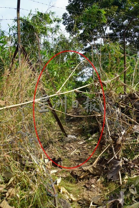 （大北马）上篇：玻地理环境成私枭必经之地，州总警长：利边境“鼠道”运违禁品转运他地