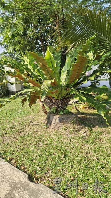 大都会(版2头)-拉吉夫不反对夜场开到3am 但噪音问题优先需解决/7图