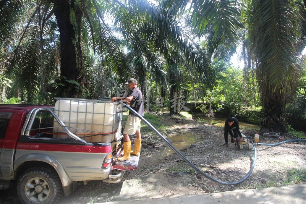 东：（已签发）忧干旱天气影响年尾收成，园主忙扑水灌溉榴梿树