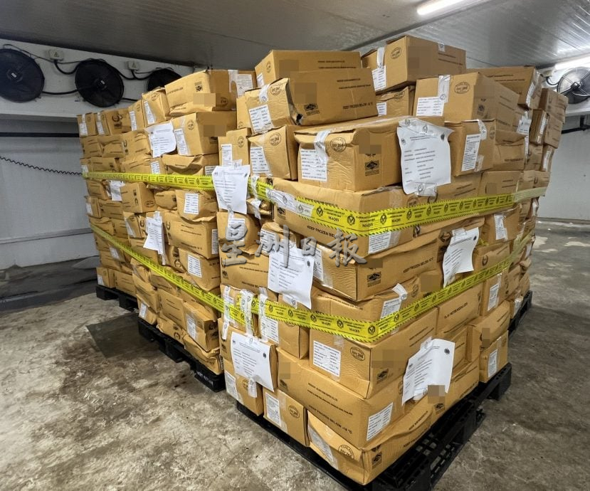 （大北马）黑木山边境管制及保护机构成立7个月，侦破30宗案。