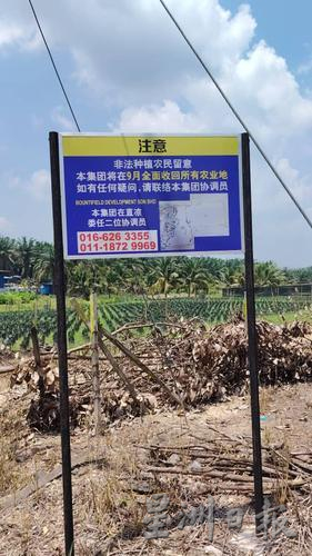 东:巴也朗440英亩地被财团收购协商不果本月回收