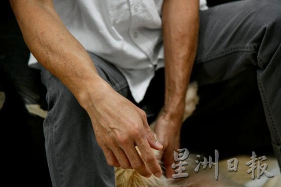 【非一般陪伴者／03】当主人外出，化身临时主人，照顾毛孩起居饮食──全职伴宠师程勇铧、吴雪儿