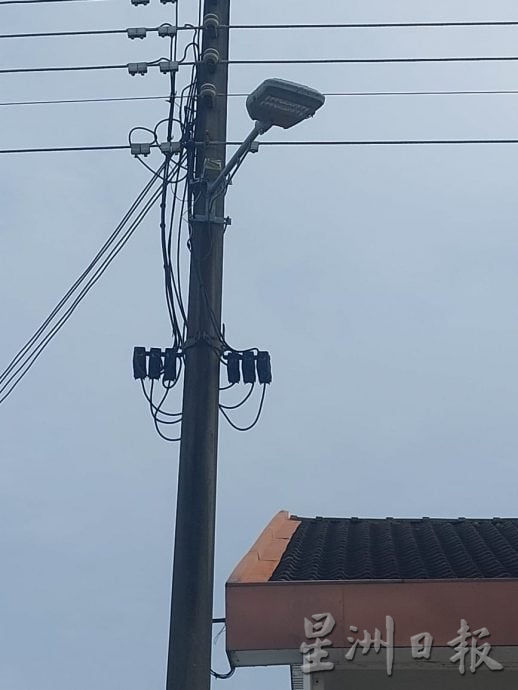 (古城封面副文)大树才修砍,却不敌雷雨轰然倒下