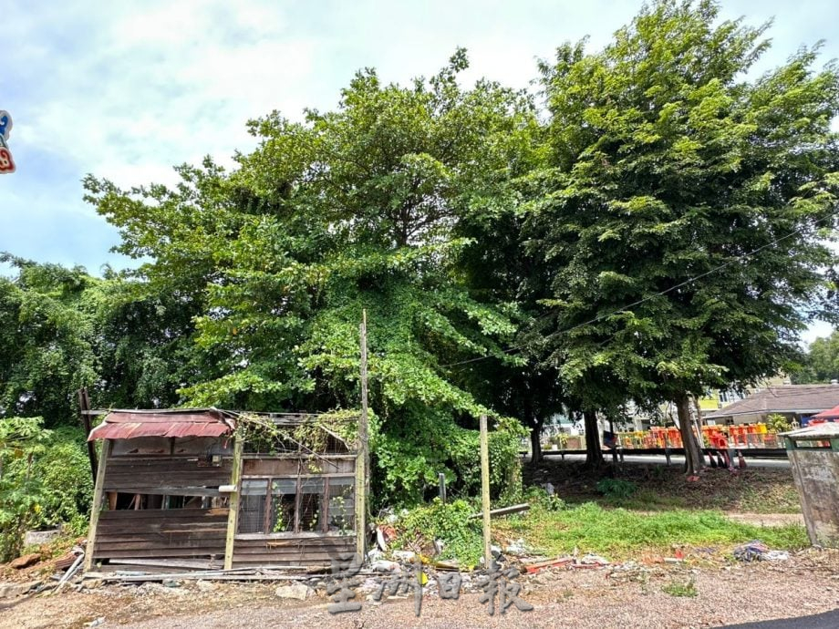 （古城版）匹克球运动崛起 郭子毅提三建议发展匹克球运动