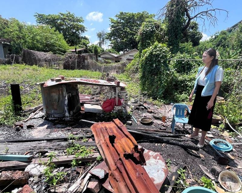 (古城第七版主文)沃尔巴克氏菌蚊子对抗骨痛热症见成效