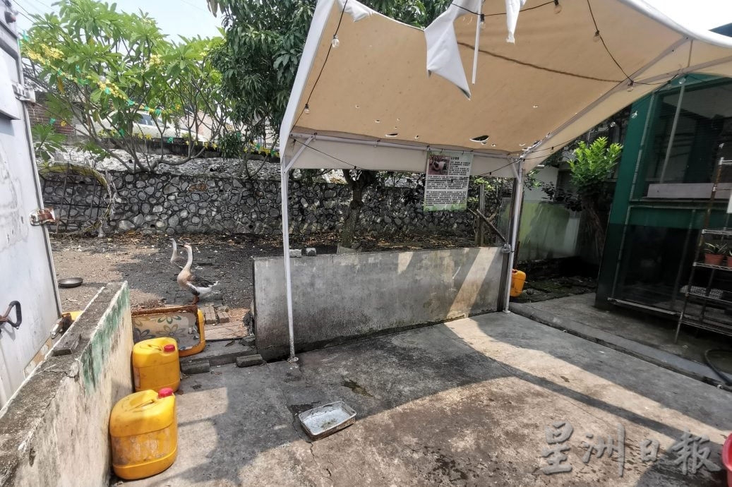 (已签)NS芙蓉/结合生态保留与永续管理 打造动静皆宜生活空间;万茂新村将建多功能运动中心