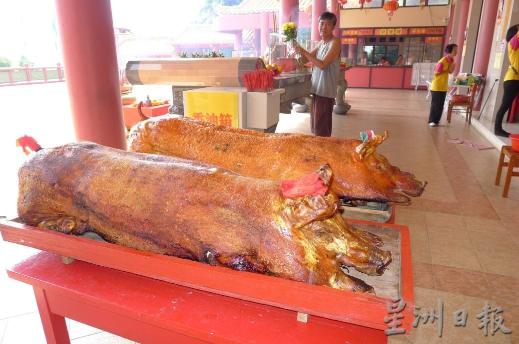 东:(已签发)中元节金猪价涨 销量料趋缓