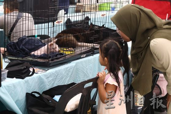 【宠物经济／01】毛孩当道！宠物商机夯，带动新兴宠物职业堀起