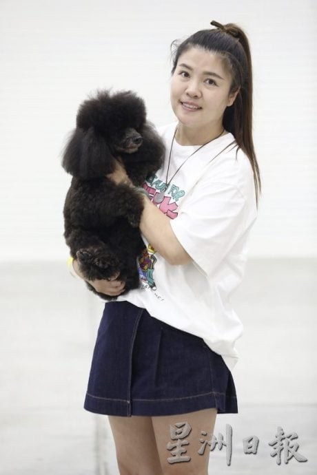 【宠物经济／01】毛孩当道！宠物商机夯，带动新兴宠物职业堀起