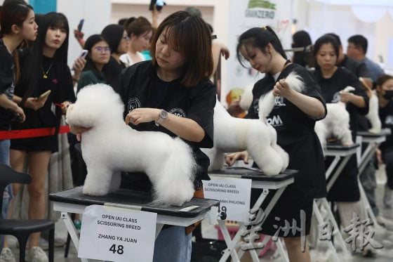 【宠物经济／01】毛孩当道！宠物商机夯，带动新兴宠物职业堀起