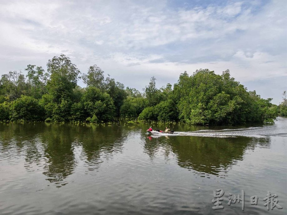 倪可敏拨35万 莫珍歪码头料3个月建竣