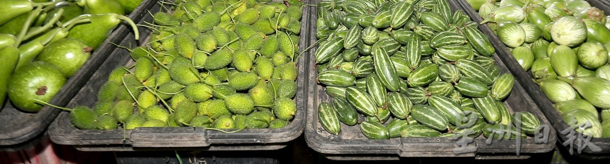 怡大马巴刹无“劳板”进驻 外劳打造供应链外围交易