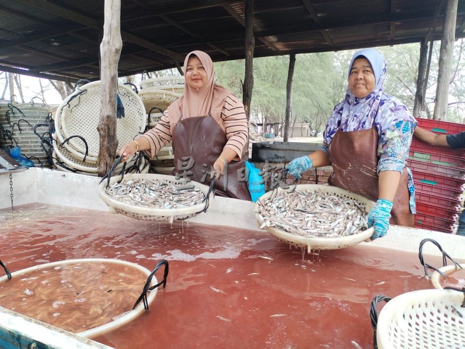 星角摄/传统手法制作江鱼仔