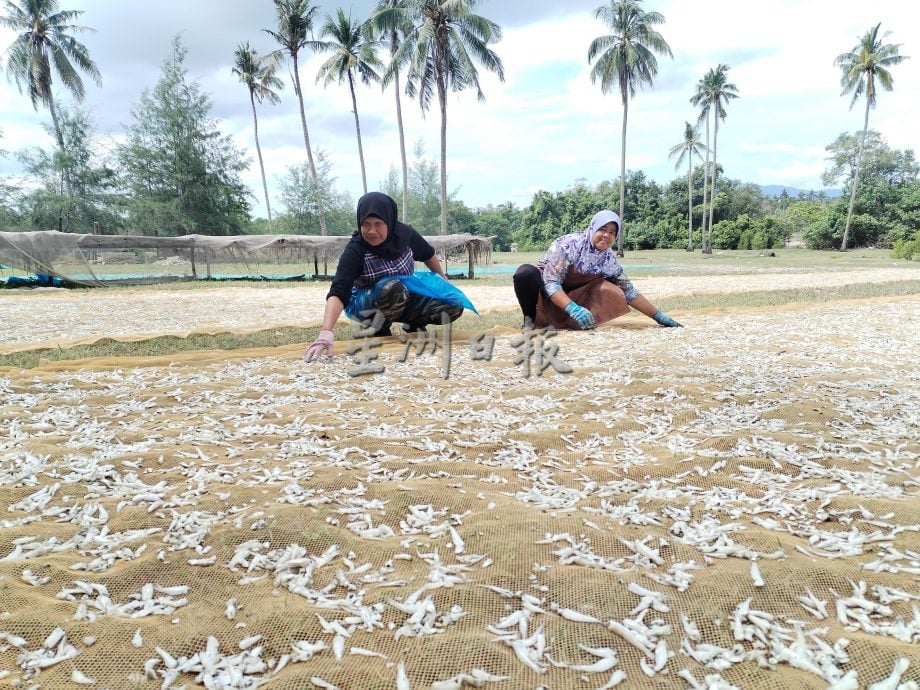 星角摄/传统手法制作江鱼仔