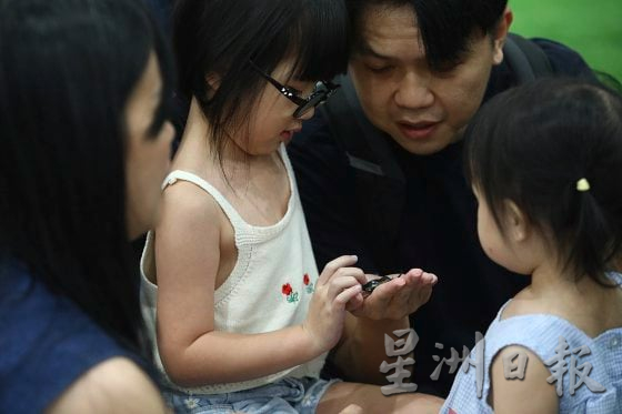 【宠物经济／03】小资创业，匠心制作，宠物用品包罗万有