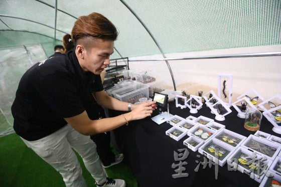 【宠物经济／03】小资创业，匠心制作，宠物用品包罗万有