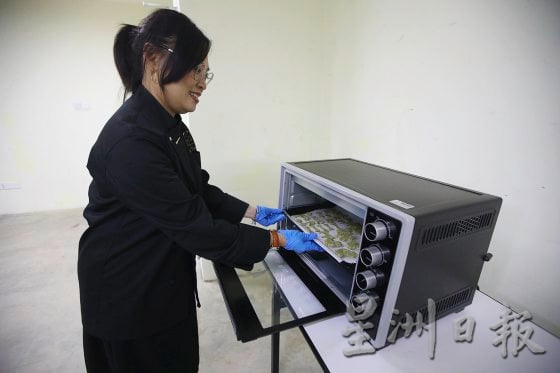 【宠物经济／03】小资创业，匠心制作，宠物用品包罗万有