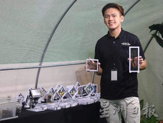 【宠物经济／03】小资创业，匠心制作，宠物用品包罗万有