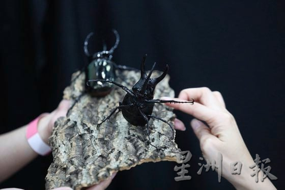 【宠物经济／03】小资创业，匠心制作，宠物用品包罗万有