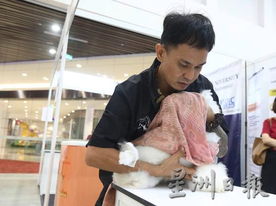 【宠物经济／02】宠物催眠课程导师／催眠是为了稳定情绪，让宠物完成美容任务