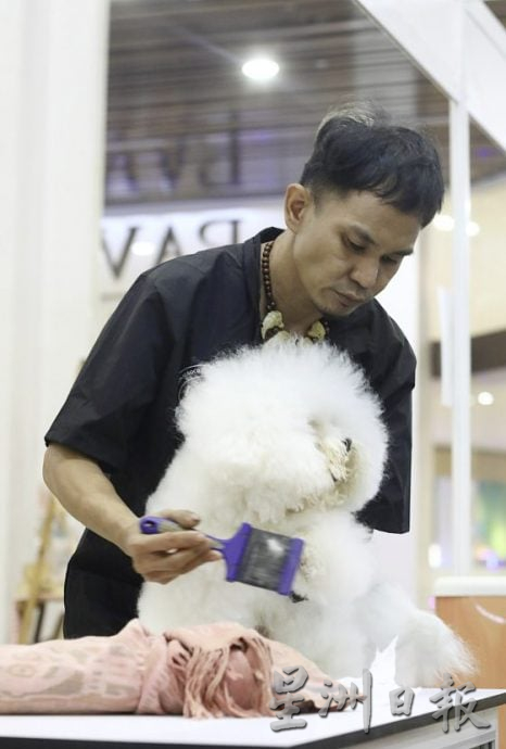 【宠物经济／02】宠物催眠课程导师／催眠是为了稳定情绪，让宠物完成美容任务