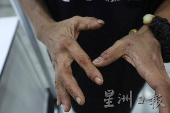 【宠物经济／02】宠物催眠课程导师／催眠是为了稳定情绪，让宠物完成美容任务