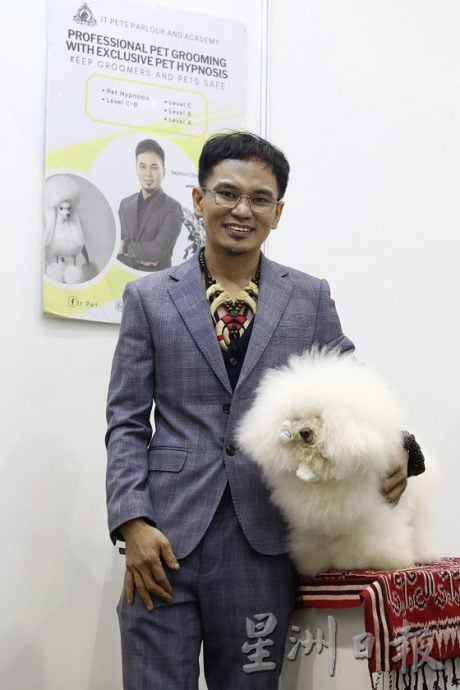 【宠物经济／02】宠物催眠课程导师／催眠是为了稳定情绪，让宠物完成美容任务