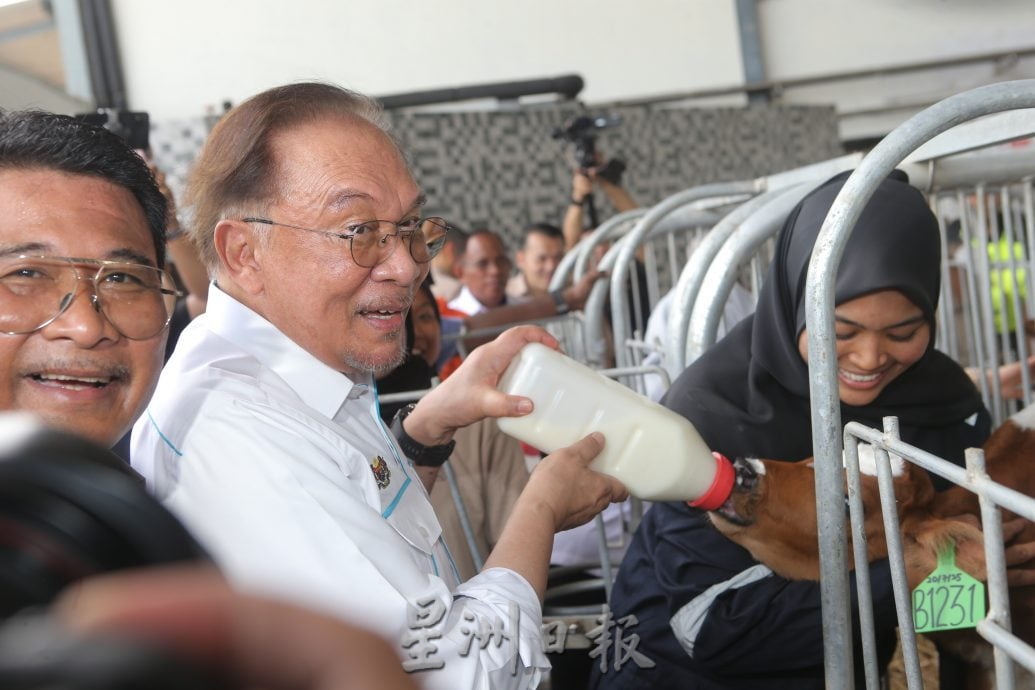 安华:查拉案交警方调查 应停止辱骂和争吵