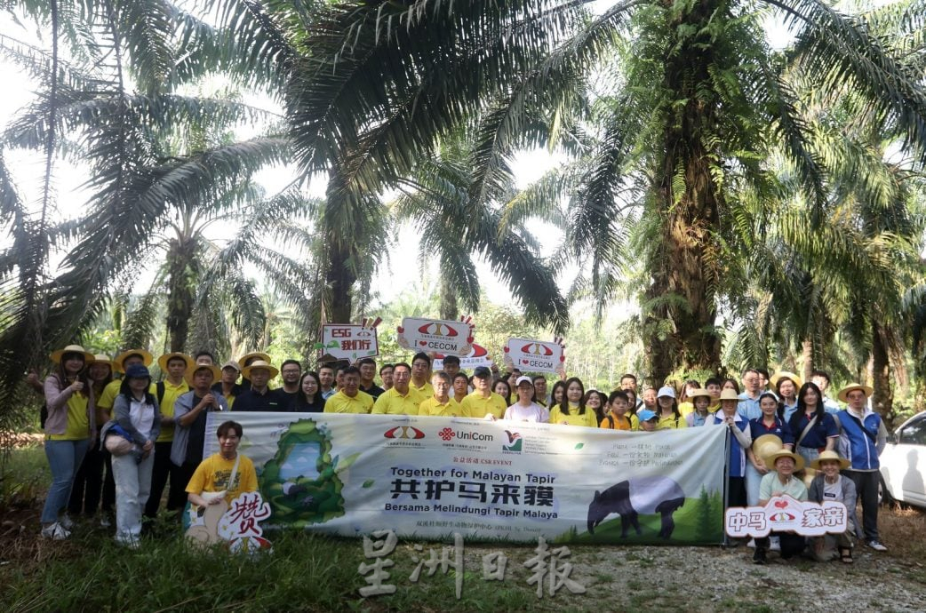 中资企业总商会 种100树苗护马来貘